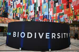 Este propósito fue el resultado del acuerdo histórico de Kunming-Montreal firmado a fines de 2022, y se articula en un programa de 23 objetivos a cumplir de aquí al final de la década. (Photo by Alberto PIZZOLI / AFP)