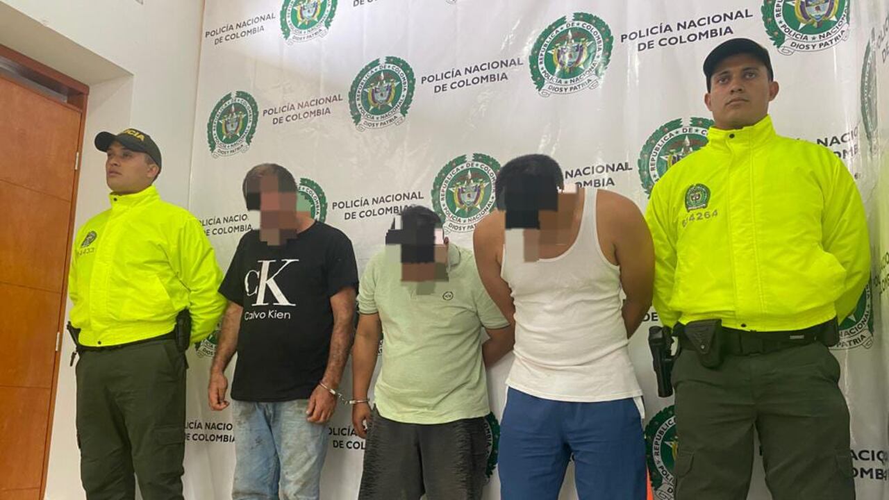 Se dedicaban al hurto a través de factores de oportunidad.