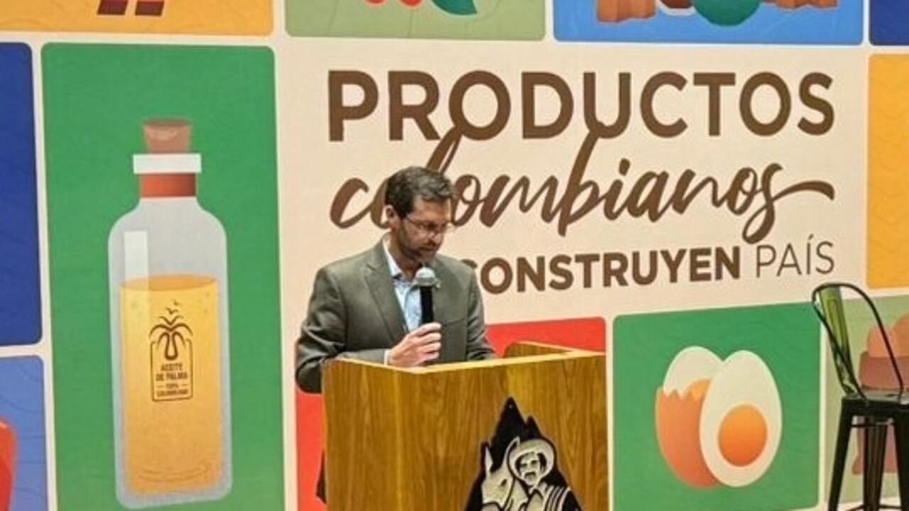 Andrés Felipe García, director de Sostenibilidad de Fedepalma en la apertura del evento