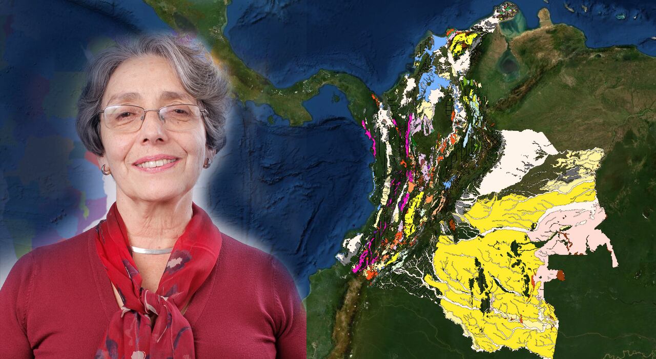 Esri utiliza una plataforma llamada Arcgis en donde se pueden buscar soluciones en terreno a partir de mapas digitales