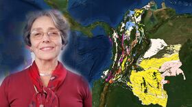 Esri utiliza una plataforma llamada Arcgis en donde se pueden buscar soluciones en terreno a partir de mapas digitales