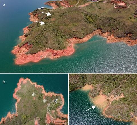 Imágenes aéreas del terreno donde fueron encontradas las dos especies de orquídeas.