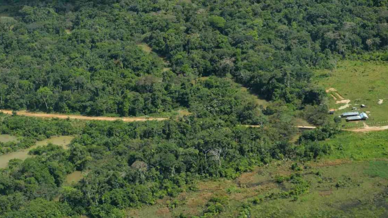 Colombia y Perú convocaron a esta cumbre a los países que comparten la Amazonia para presentar propuestas concretas para su protección. Foto: archivo/Semana