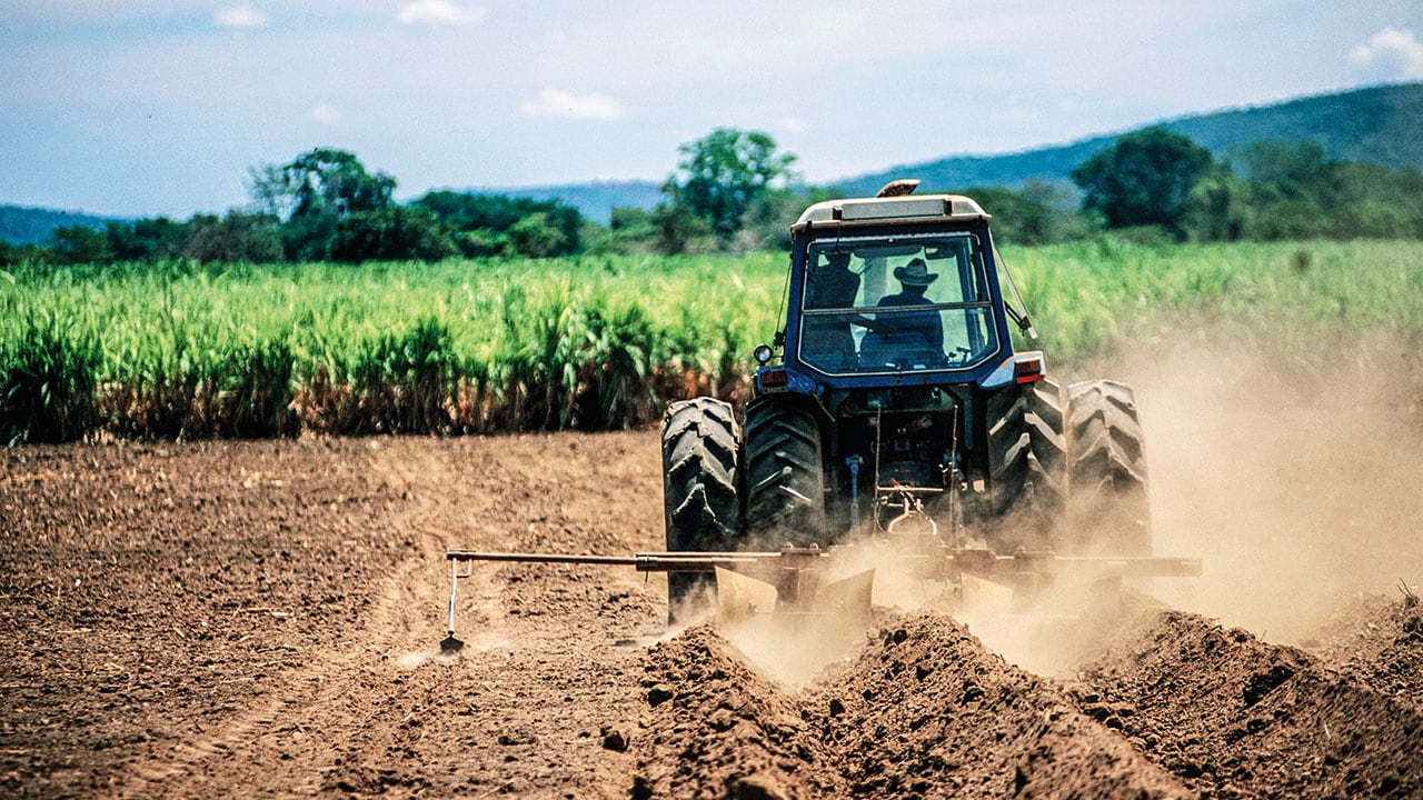 Luces y sombras de 2026_5