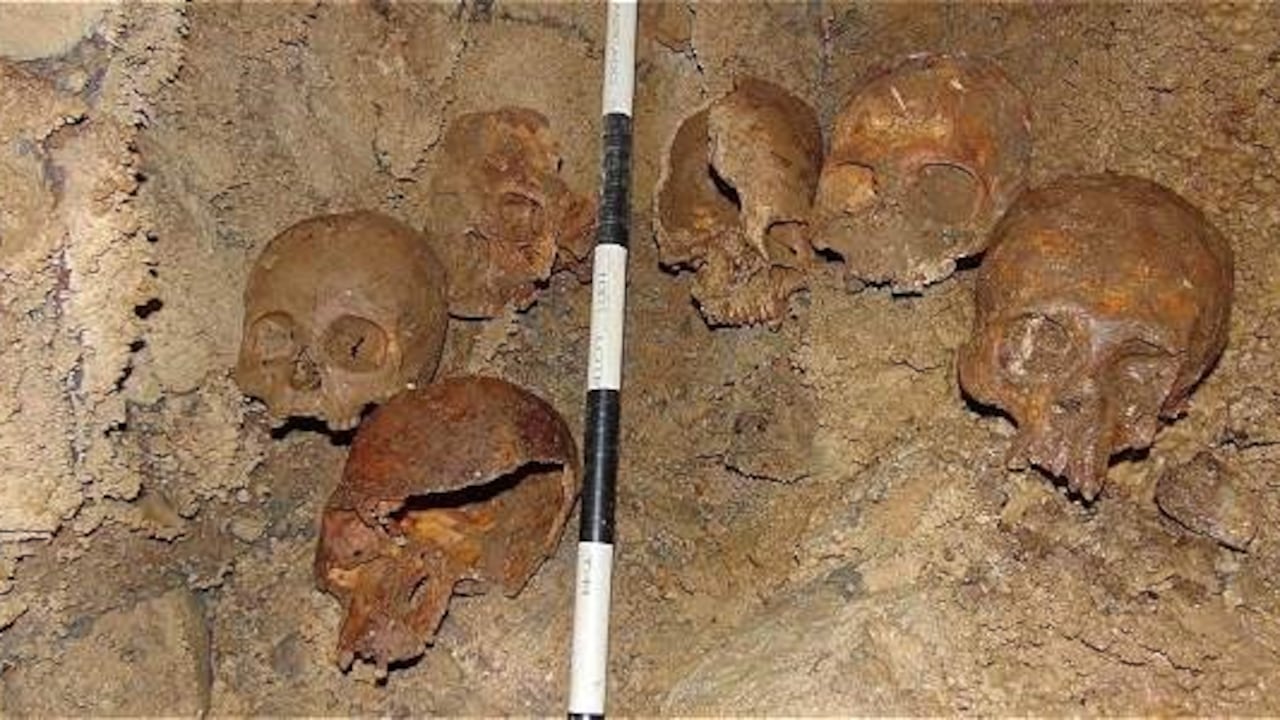 En una obra, descubren un antiguo cementerio indígena en el Cauca