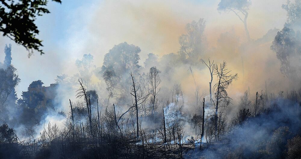 Alerta roja en Italia por incendios. 