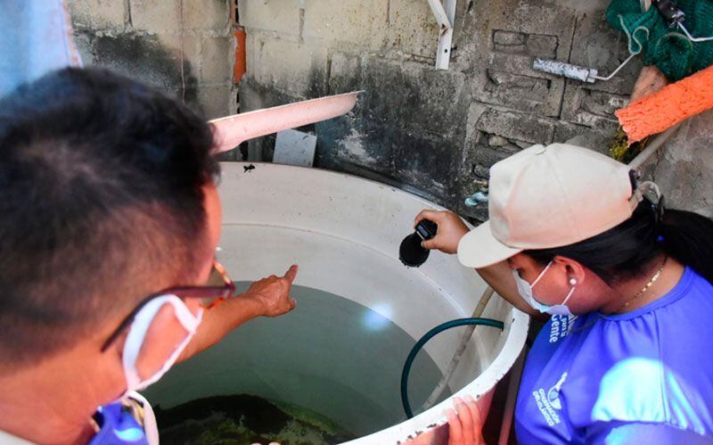 Las jornadas de limpieza buscan erradicar criaderos de mosquitos