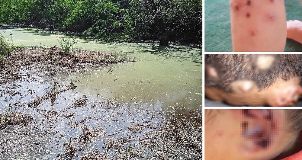 El relleno sanitario de Loma Grande empezó a operar a mediados de 2002 de manera irregular y sin los controles establecidos.