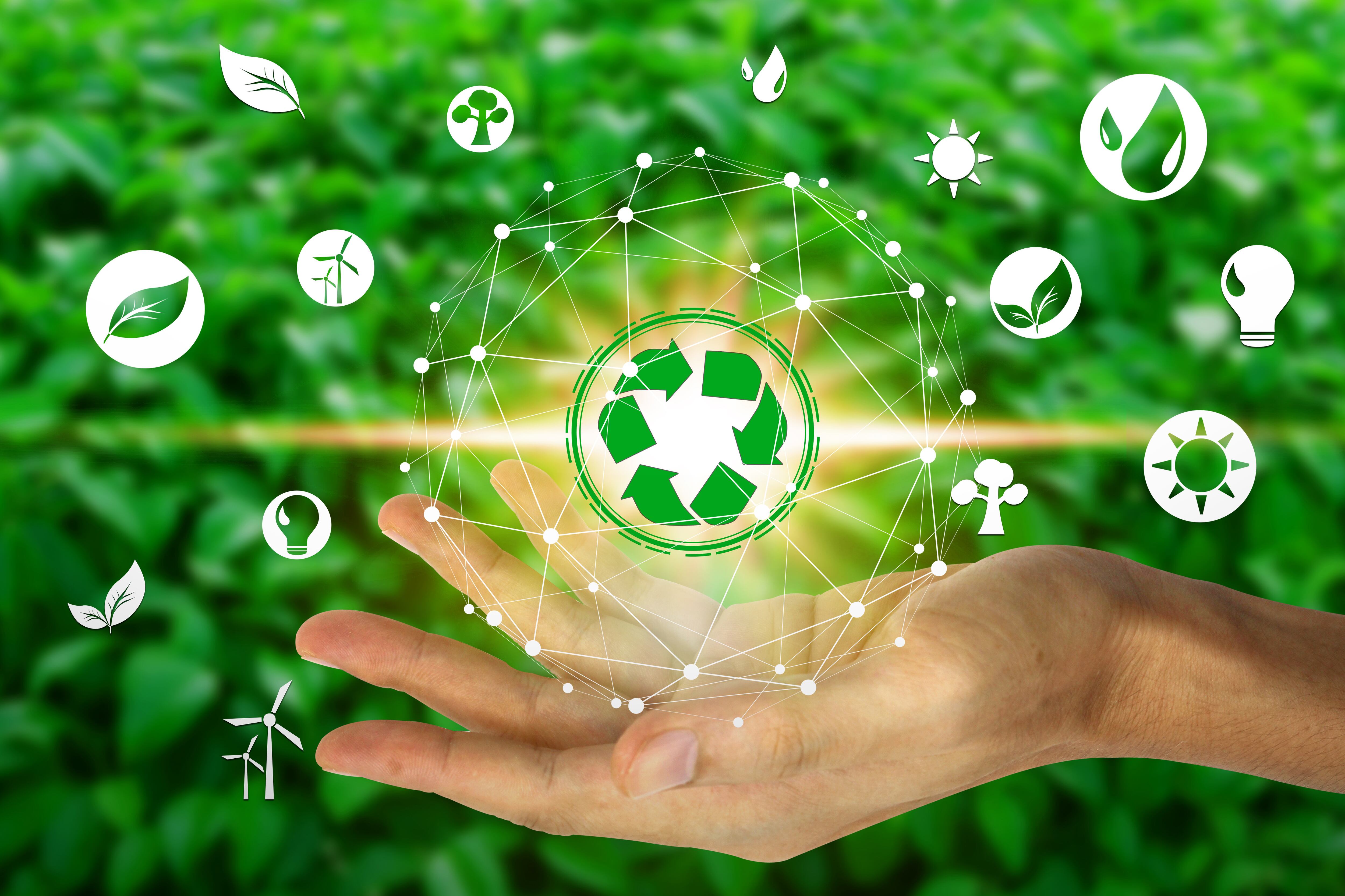 Los negocios sostenibles también son rentables.