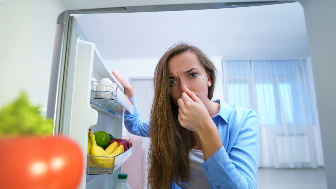 Este simple utensilio de baño puede acabar con los malos olores en su nevera