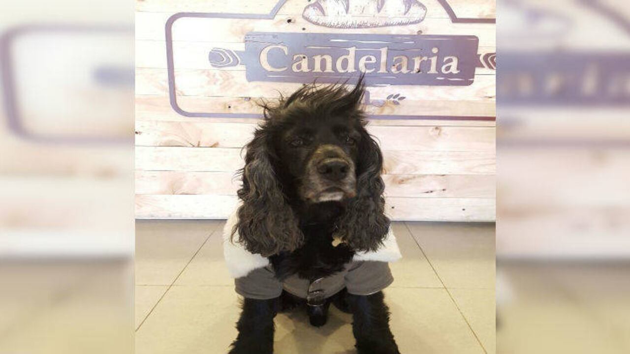 Instagrma @candelariapan