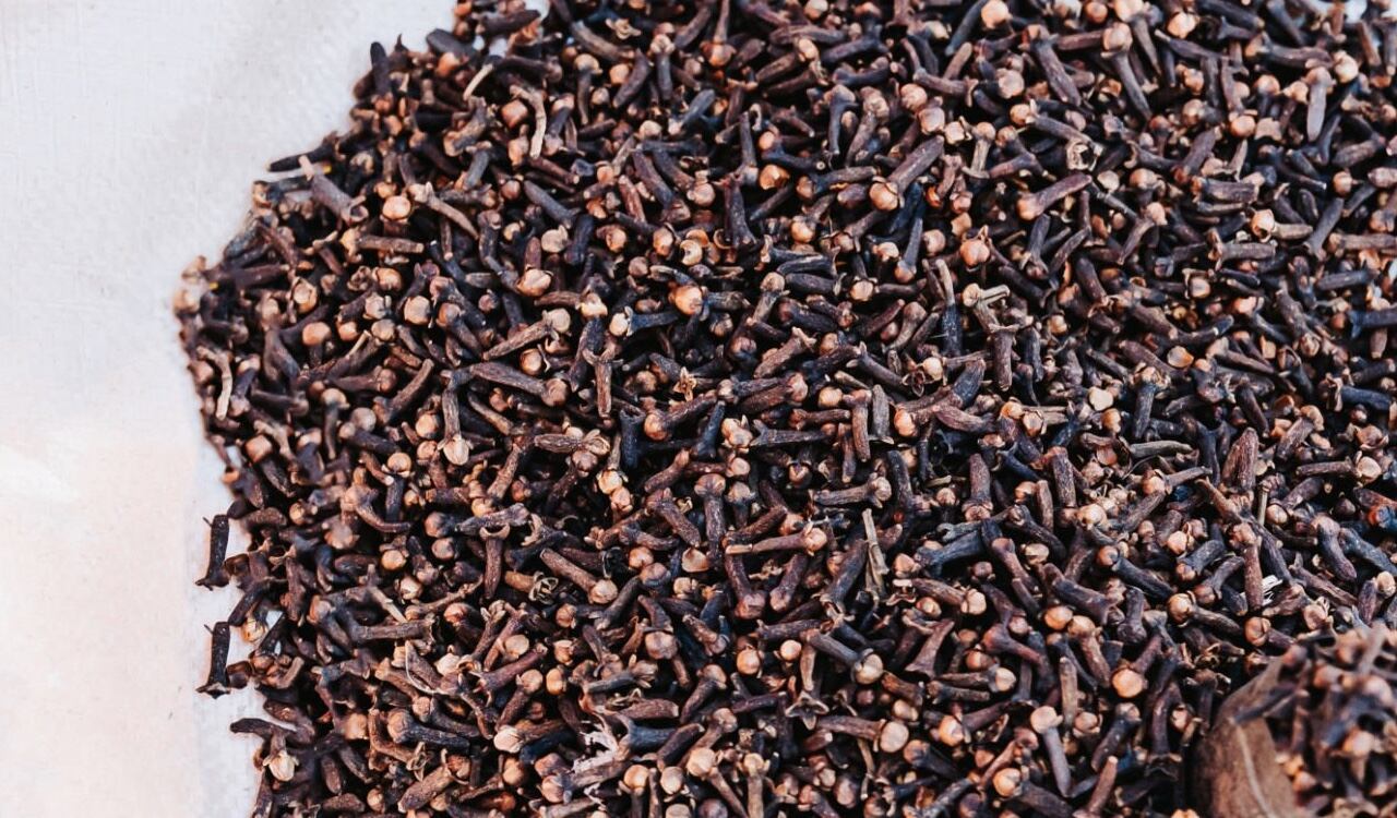 El clavo de olor en infusión, trae grandes beneficios para el organismo.