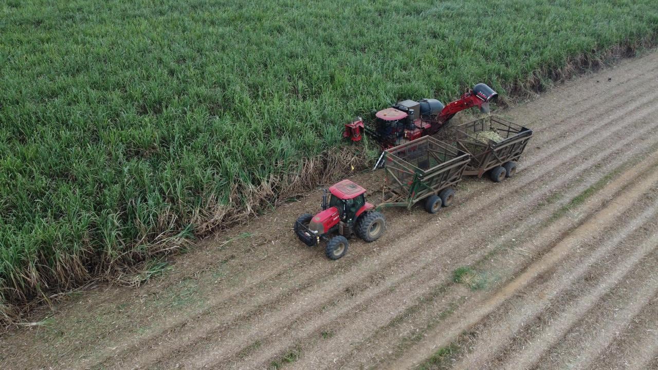 Bioenergy tiene como eje central la sostenibilidad en todas sus operaciones: desde la optimización del uso del agua y los recursos naturales hasta la implementación de prácticas de economía circular.