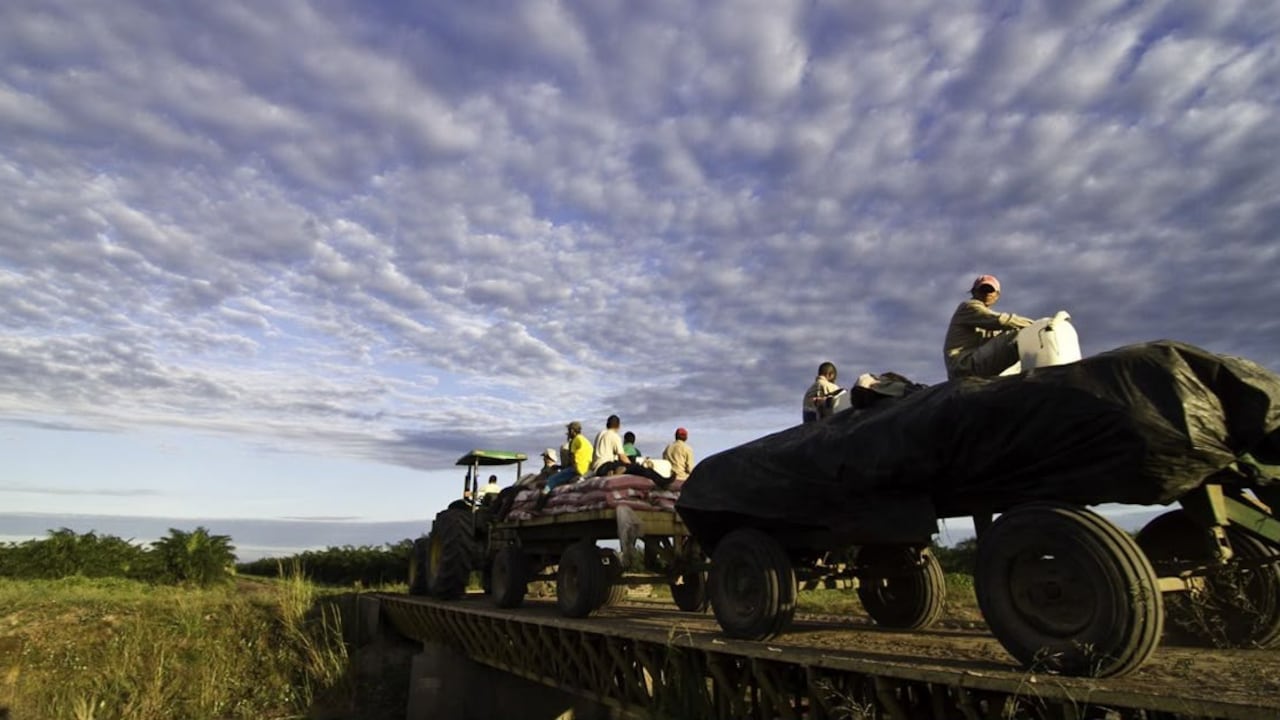 The Nature Conservancy crea alianza con la comunidad para conservar la Orinoquía.