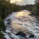 En el tercer foro del Grupo Río Bogotá, varios expertos concluyeron que la descontaminación del afluente sólo será posible si los habitantes cambian sus comportamientos y le dejan de dar la espalda.