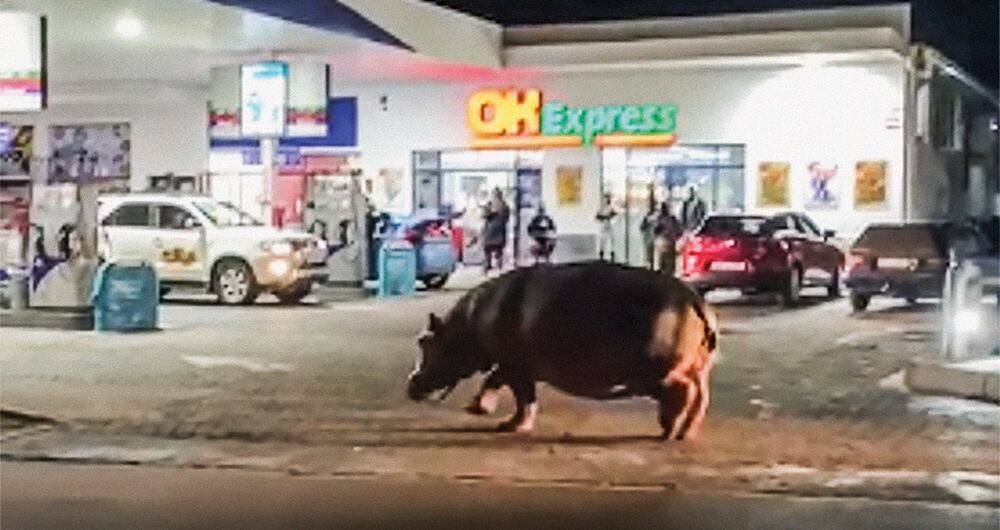 Cuando el mundo respiró_9