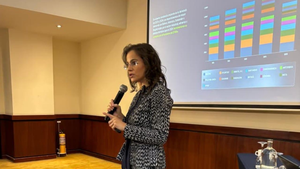 Luz Stella Murgas / Naturgas se refirió a la situación de abastecimiento en 2026