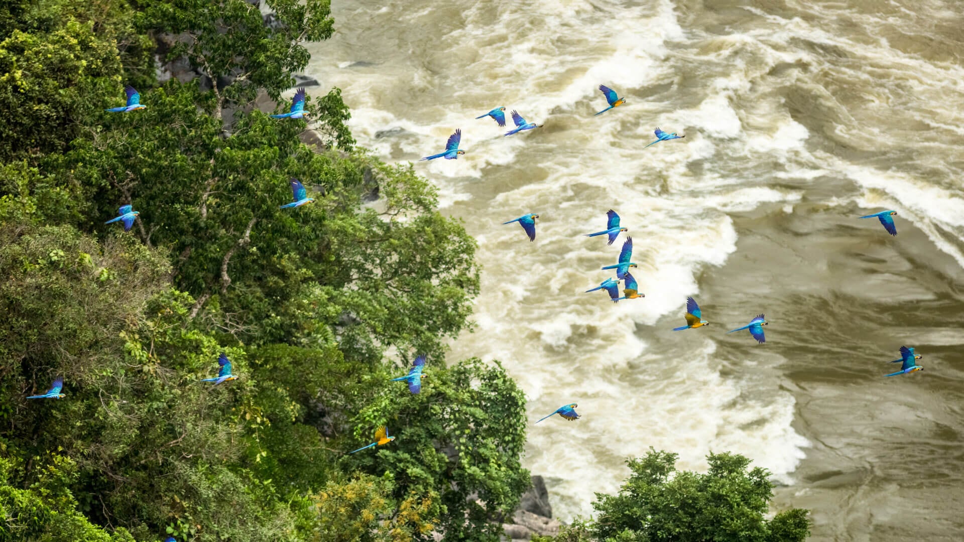 Cañón de Araracuara