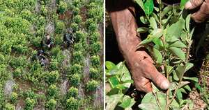 El narcotráfico fue uno de los mayores combustibles para financiar los crímenes de la guerrilla. Los frentes desarrollaban actividades regionales para ajustar sus cuentas.