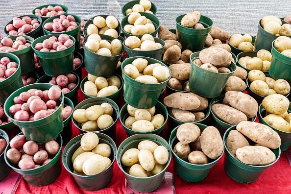 Debido a sus propiedades medicinales, la cáscara de papa permite curar heridas y prevenir la diabetes, presión alta, enfermedades del corazón y el cáncer.  (Photo by: Jeffrey Greenberg/Universal Images Group via Getty Images)