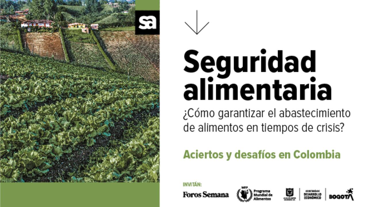 Seguridad Alimentaria: ¿cómo garantizar el abastecimiento de alimentos en tiempos de crisis?