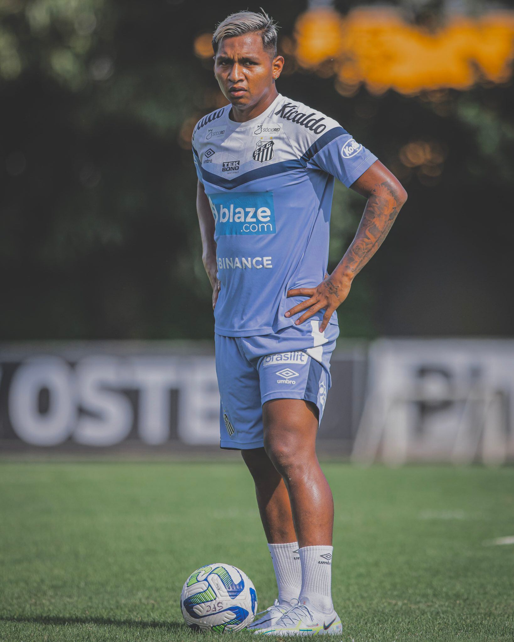 Alfredo Morelos en Santos de Brasil
