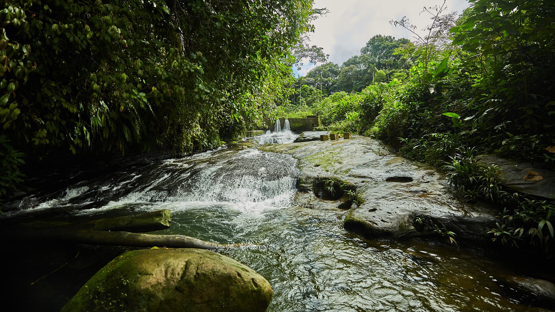 La Cascada Sal de Frutas es uno de los puntos más visitados de Quibdó por sus aguas cristalinas.