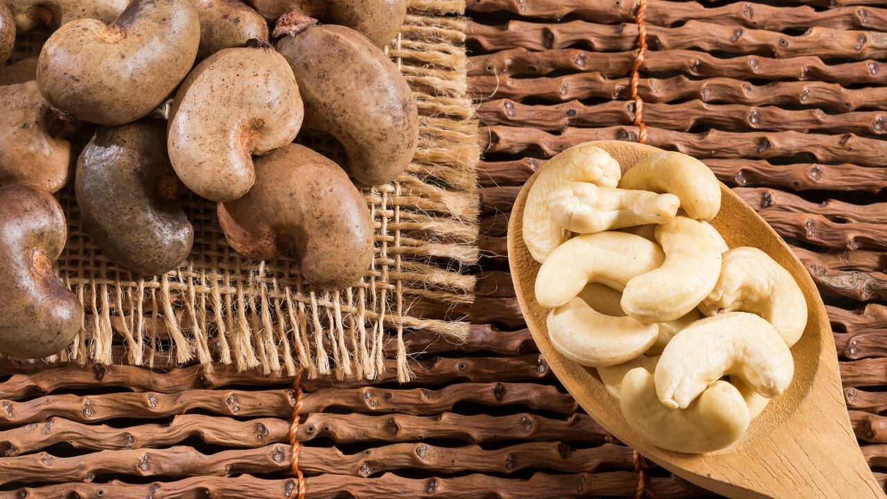 Alpina lanzó productos de origen vegetal.