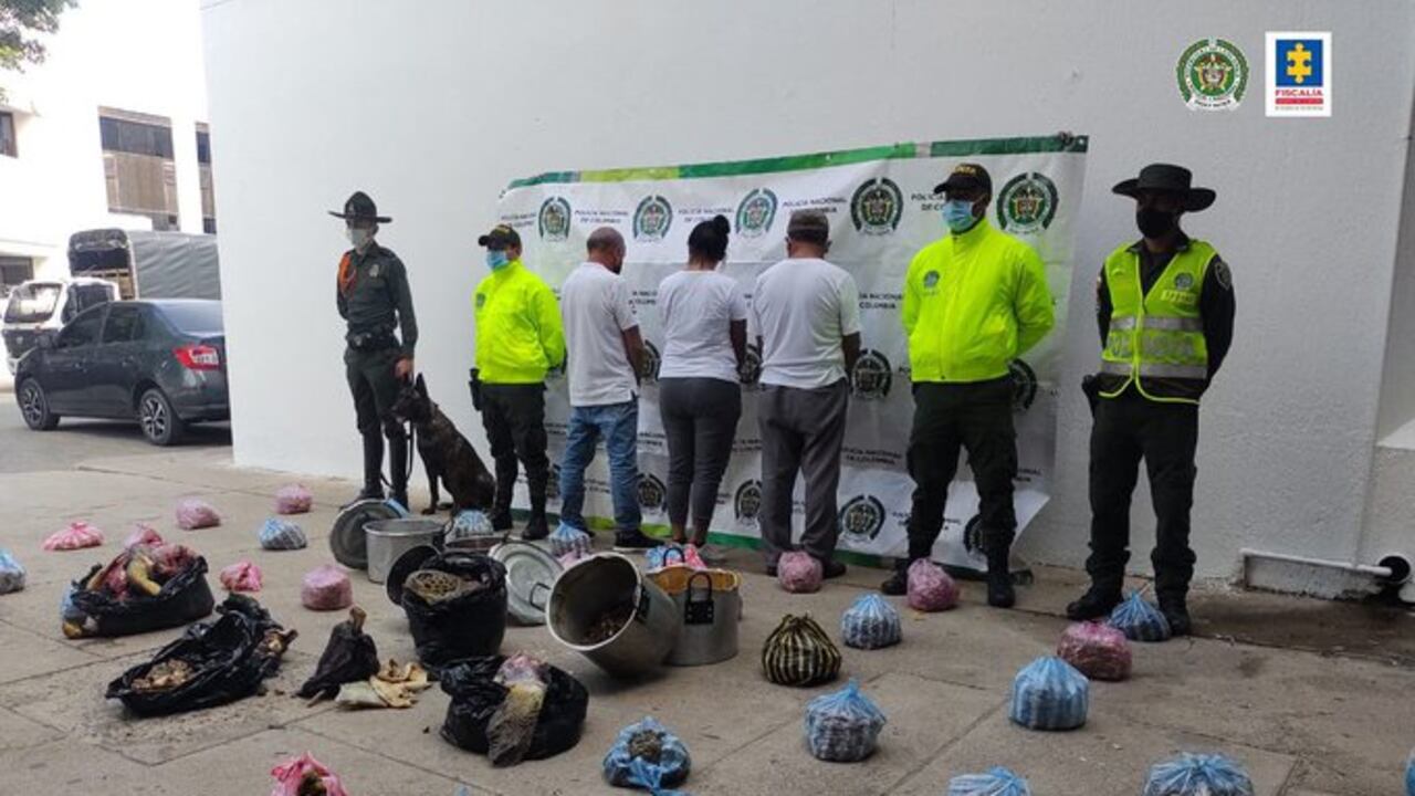 Presuntos traficantes y comercializadores de especies de tortuga marinas