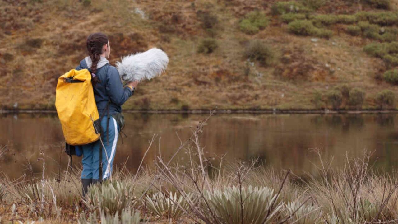El uso de la ecoacústica para mejorar la gestión y conservación de paisajes naturales ha crecido considerablemente en los últimos años. Foto: Felipe Villegas - Colombia hoy.