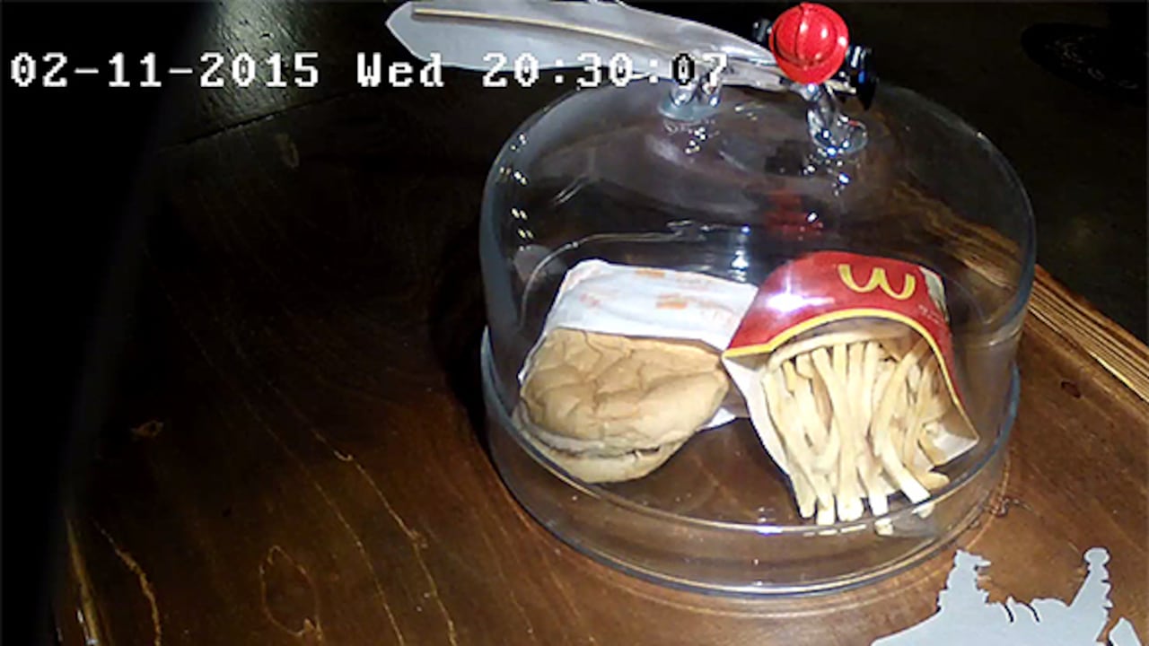 Un streaming en vivo documenta la "descomposición" de la hamburguesa.