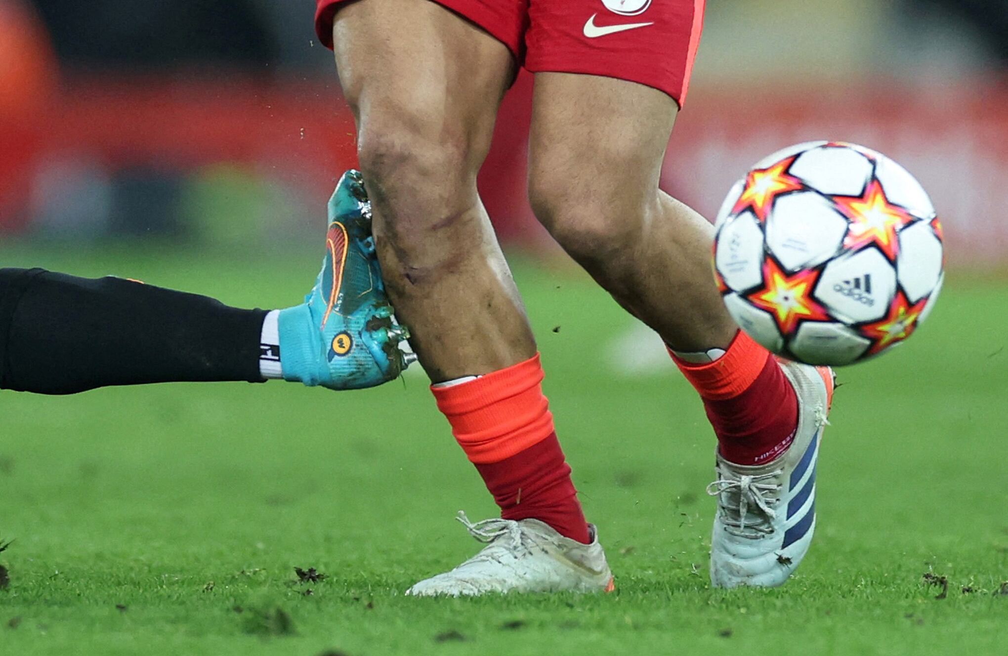 Fotos de la semana 11 marzo.docx