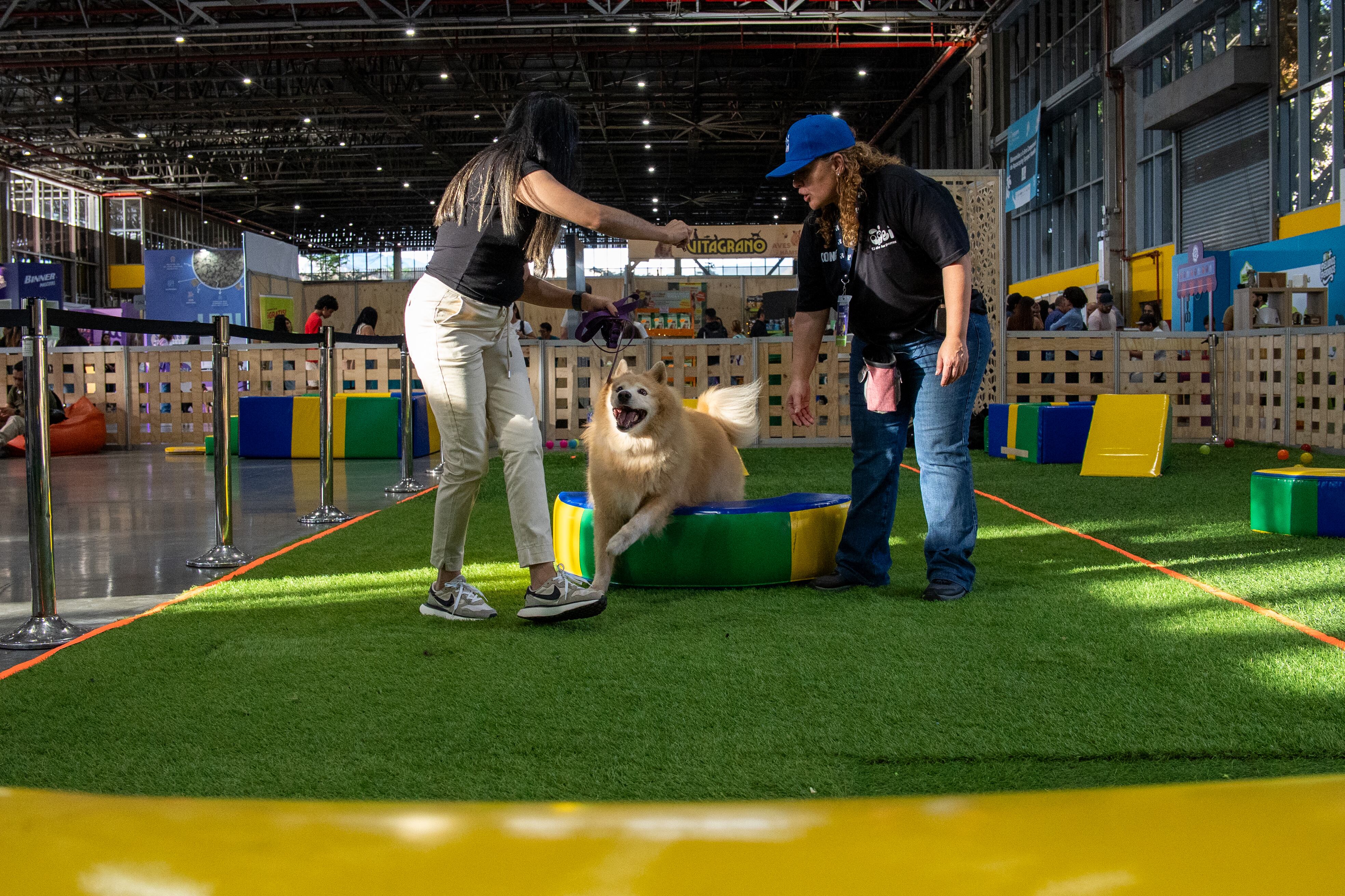 Entre la oferta del evento destaca la Escuela Viajera de la Felicidad Perruna, un espacio interactivo enfocado en la estimulación sensorial y el fortalecimiento del vínculo entre tutores y perros.