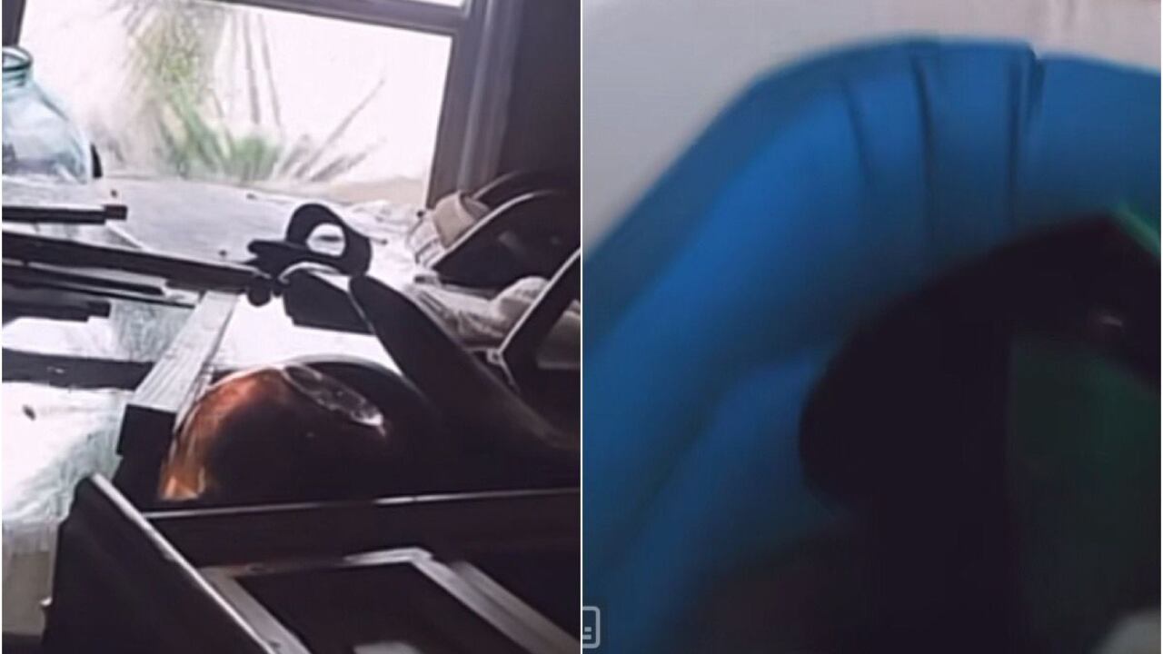 Ian TikTok