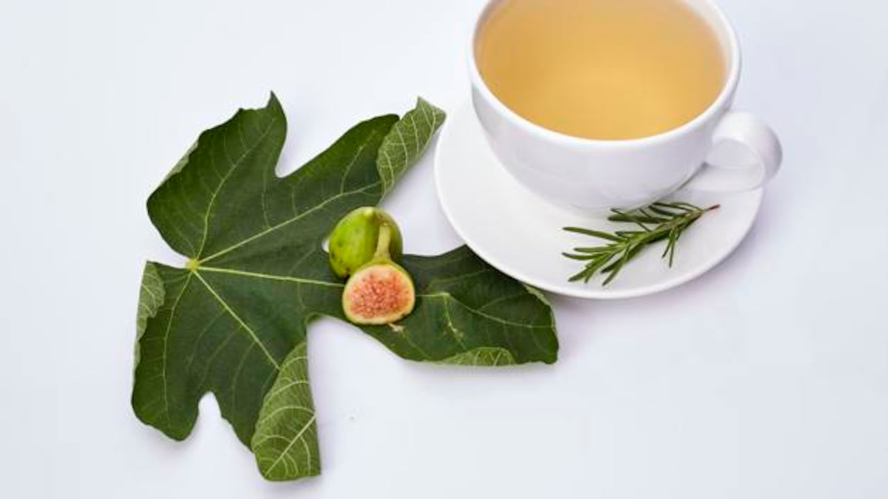 Propiedades medicinales de la infusión de hojas de higo.