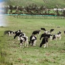 En el país hay 11,3 millones de hectáreas de suelos agrícolas, pero de ellas solo se aprovecha el 35 por ciento.