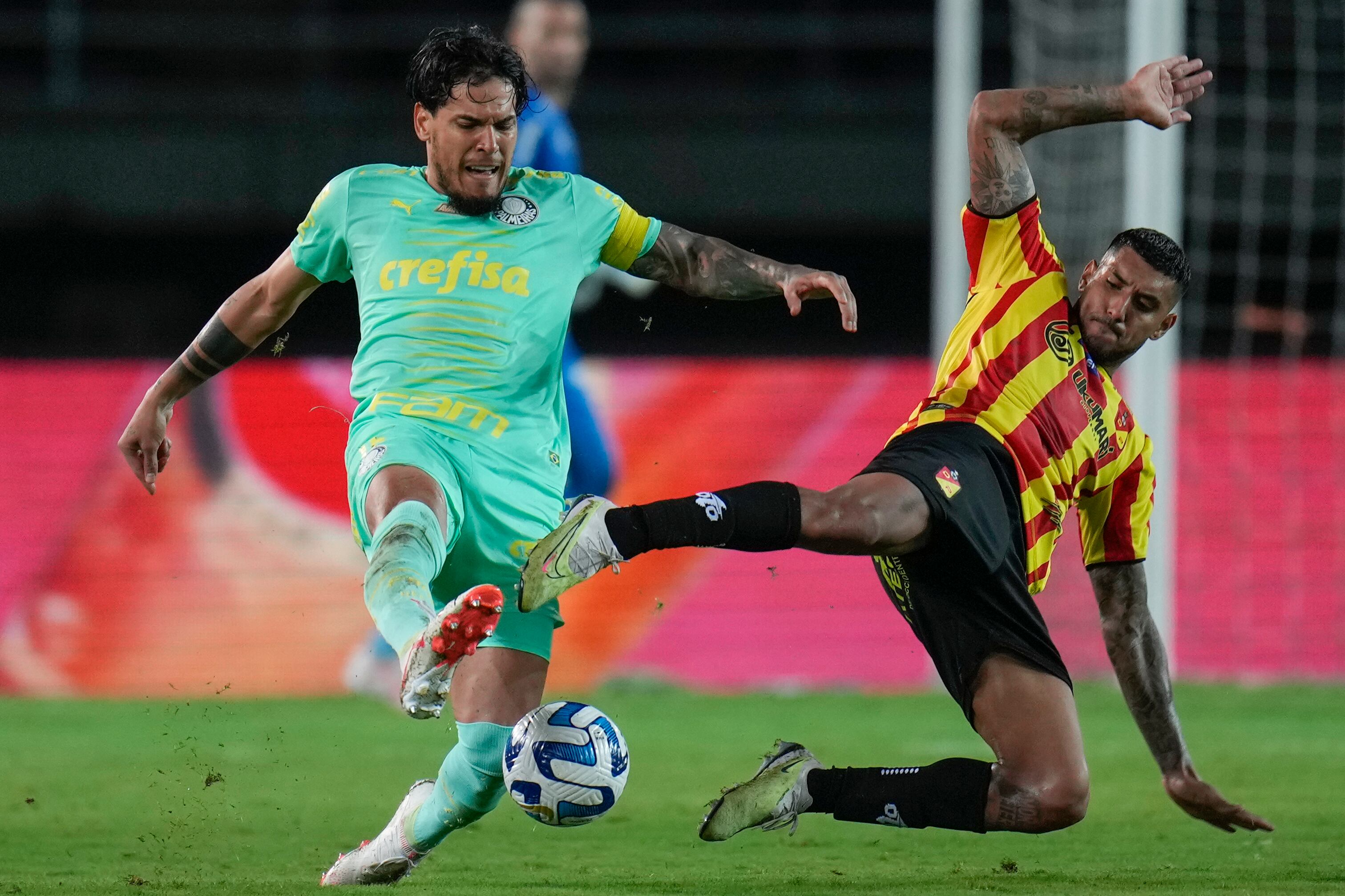 Pereira vs Palmeiras