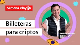 ¿Cómo proteger los criptoactivos? La respuesta está en las billeteras calientes, tibias y frías. Así funcionan