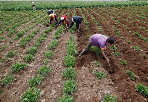 Para 2022, el Gobierno nacional dobló el presupuesto para el Seguro Agropecuario.
