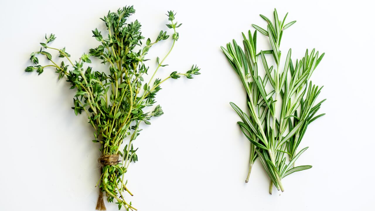 Bunches of tied thyme and rosemary on white background isolated