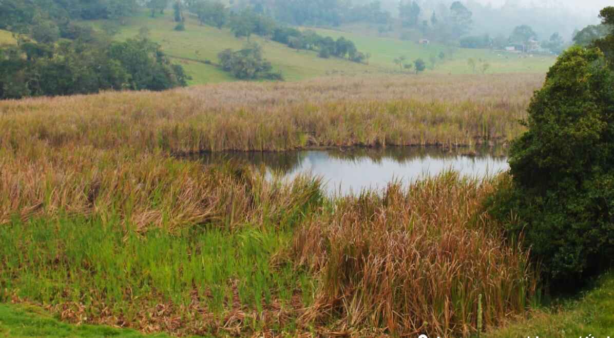 laguna Agua Blanca, en Úmbita