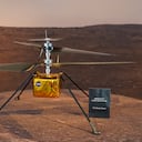 (AP Photo/Damian Dovarganes, File)