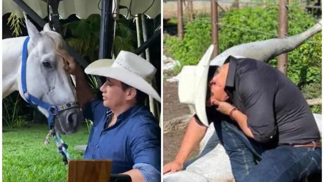 En la mañana de este viernes 28 de octubre el senador reveló que el equino falleció.