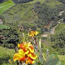 San Vicente del Caguán, Caquetá.