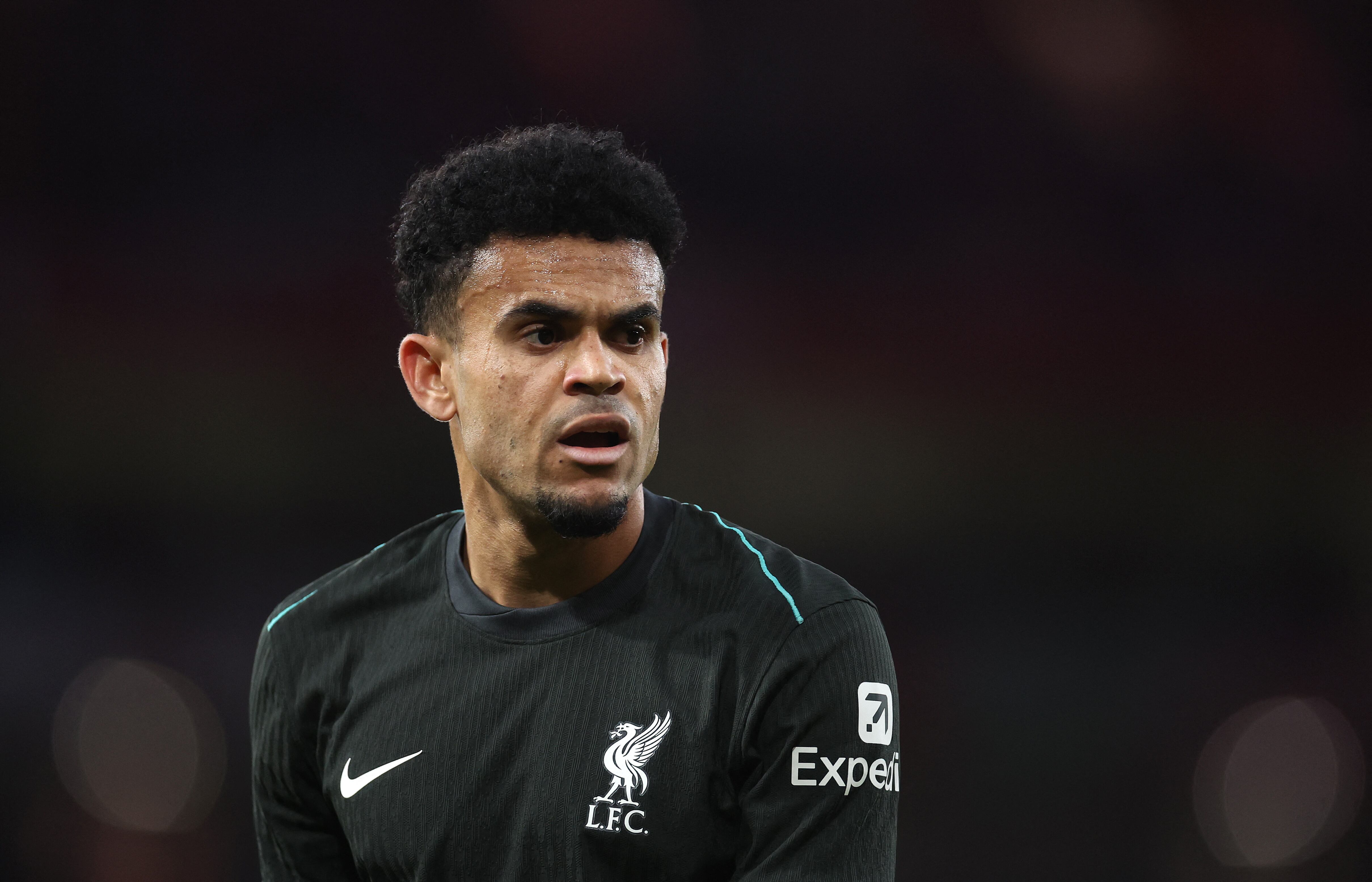 LONDON, ENGLAND - OCTOBER 27: Luis Diaz of Liverpool during the Premier League match between Arsenal FC and Liverpool FC at Emirates Stadium on October 27, 2024 in London, England. (Photo by Alex Pantling/Getty Images) (Photo by Alex Pantling / GETTY IMAGES EUROPE / Getty Images via AFP)