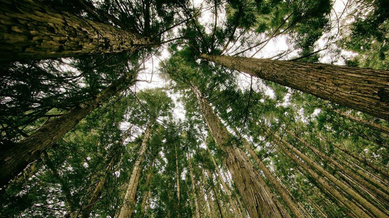 La Conferencia, que se realizó en Bogotá, contó además con la participación de expertos de entidades como el Banco Mundial y el Banco Interamericano de Desarrollo, entre otras.