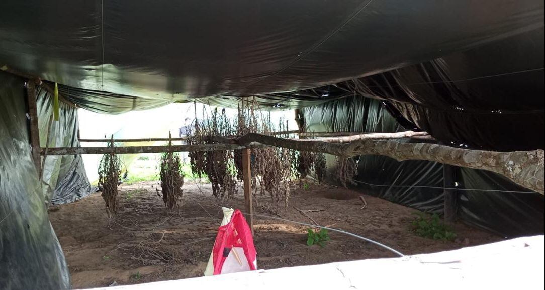 Denuncian ecocidio en el departamento del Meta.