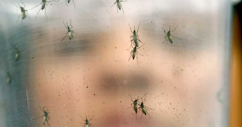 En cualquier área rural, por el estancamiento de agua en espacios que se encontraban secos, se puede multiplicar del mosquito transmisor de la malaria.