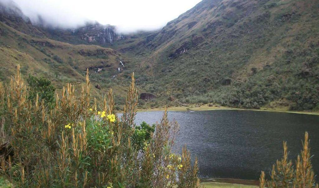 Este páramo es uno de los más importantes del oriente colombiano.