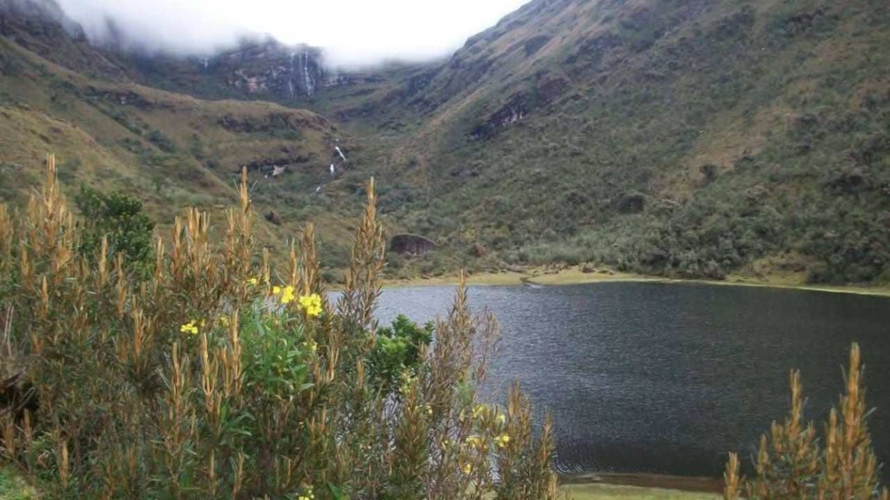 Jesús Arley López, creador y director de los Premios Príncipe de los Páramos, explicó que el proyecto nació inspirado en uno de los mayores patrimonios naturales del país: los páramos.